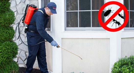 Bornova Dezenfeksiyon böcek ilaçlama ve haşere kontrolü — ilaclama-tr.com